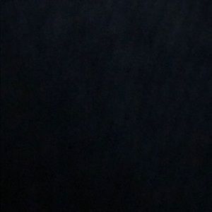 Meet your Posher, Cheyenne